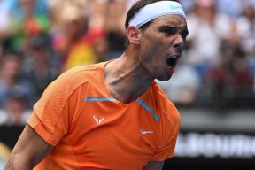 蒂姆新星问鼎冠军表现惊艳，塞尔维亚队未来可期！的简单介绍